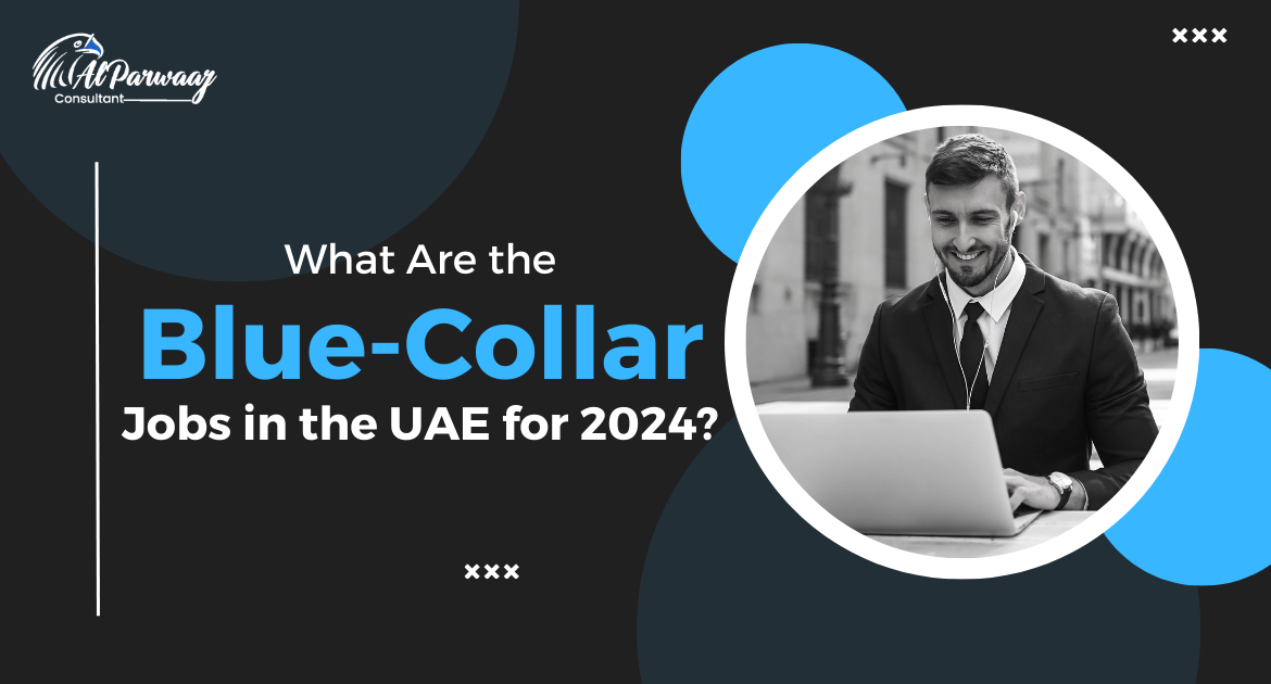 What are the Blue-Collar jobs in the UAE for 2024?